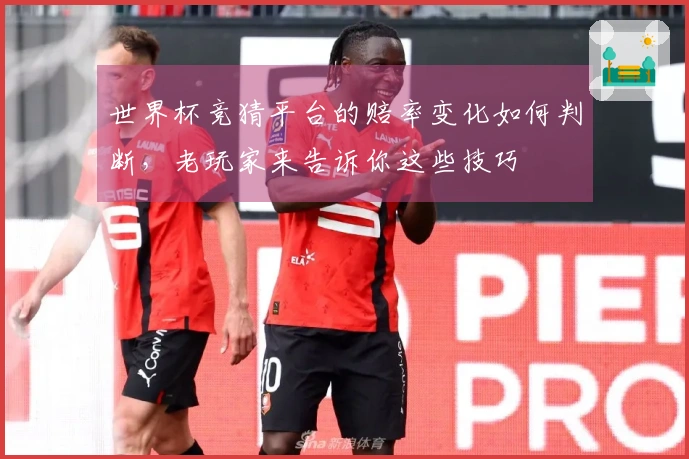 世界杯竞猜平台的赔率变化如何判断，老玩家来告诉你这些技巧